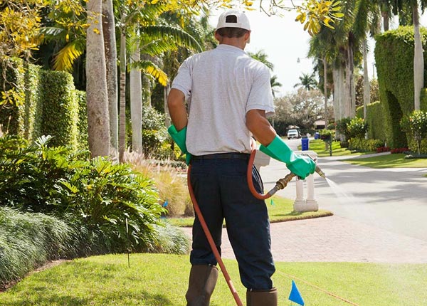 About Devils Elbow MO Pest Control